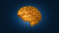 Gold brain on blue background, 3D illustration