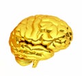 Gold brain.3d rendering. 3d illustration. Royalty Free Stock Photo