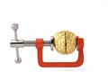 Gold brain in G clamp on white background 3D illustration