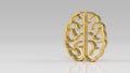 Gold brain sign isolated On Gray White Background. Brainstorm ideas, creative innovation. Brain, mind or intelligence line art