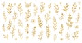 Gold branch leaf element set. Hand drawn sketch doodle golden leaves floral element for wedding background, elegant Royalty Free Stock Photo