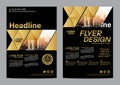 Gold Brochure Layout design template. Annual Report Flyer Leaflet cover Presentation Modern background. illustration vector in A4 Royalty Free Stock Photo