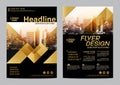 Gold Brochure Layout design template. Annual Report Flyer Leaflet cover Presentation Modern background. illustration vector in A4 Royalty Free Stock Photo