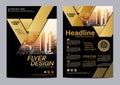 Gold Brochure Layout design template. Annual Report Flyer Leaflet cover Presentation Modern background. illustration vector in A4 Royalty Free Stock Photo