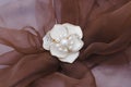 Gold brooch flower with a pearls and diamonds on scarf