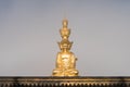 Gold buddha in foggy background