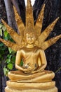 Gold buddha with nagas Royalty Free Stock Photo