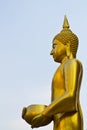 The gold buddha statue Royalty Free Stock Photo