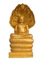 The gold Buddha statue sitting on seven heads snake isolated on white background Royalty Free Stock Photo