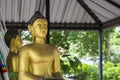 Gold buddha statue