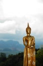 Gold Buddha Statue in Thailand Royalty Free Stock Photo