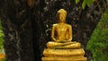 Gold buddha statue under the tree Wat Suthat bangkok thailand