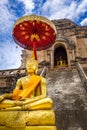 Gold Buddha, Wat Chedi Luang temple big Stupa, Chiang Mai, Thailand Royalty Free Stock Photo
