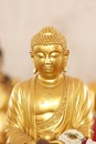 The gold Buddhist saint. Royalty Free Stock Photo