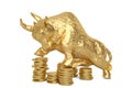 Gold bull with coins on white background.3D illustration. Royalty Free Stock Photo