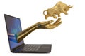 Gold bull on hand with laptop on white background.3D illustration. Royalty Free Stock Photo