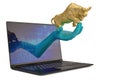 Gold bull on hand with laptop on white background.3D illustration. Royalty Free Stock Photo