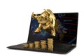 Gold bull with laptop and gold coin stacks on white background.3D illustration. Royalty Free Stock Photo