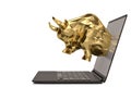 Gold bull with laptop on white background.3D illustration. Royalty Free Stock Photo