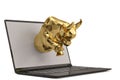 Gold bull with laptop on white background.3D illustration. Royalty Free Stock Photo