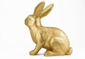 Gold bunny rabbit on white background Royalty Free Stock Photo
