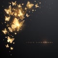 Gold butterflies with light effect on black background Royalty Free Stock Photo