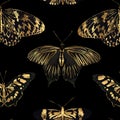 Gold butterfly on black background seamless pattern. Royalty Free Stock Photo