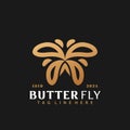 Gold Butterfly Creative Logo Design, Abstract Logos Designs Concept for Template Royalty Free Stock Photo