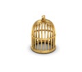 Gold cage