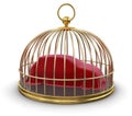 Gold Cage with Covering Car (clipping path included) Royalty Free Stock Photo