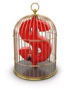 Gold Cage with dollar (clipping path included)