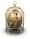 Gold Cage with Egg (clipping path included)