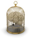 Gold Cage with Human brain (clipping path included)