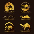 Gold Camel logo and sign vector set design Royalty Free Stock Photo