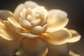 Gold camellia flower softlight. Generate Ai Royalty Free Stock Photo