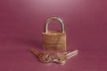 A gold camouflage patterned padlock standing in front of two gold keys held together by a keyring on a colorful studio background. Royalty Free Stock Photo