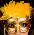 Gold carnival mask Royalty Free Stock Photo