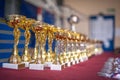 Gold champion trophies and medals lined up in rows Royalty Free Stock Photo