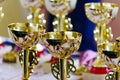 Gold champion trophies and medals lined up in rows. Gold sports cups on the table. Royalty Free Stock Photo