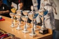 Gold champion trophies and medals lined up in rows Royalty Free Stock Photo