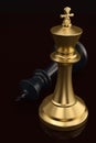 Gold chess king and black king on black background 3D illustration
