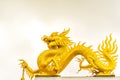 Gold chinese dragon.