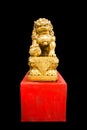 Gold chinese lion