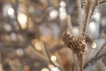 Gold Christmas background of de-focused lights with decorated tree. Decorated Christmas tree on blurred background. Happiness Royalty Free Stock Photo