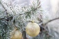 Gold Christmas ball on a snow-covered tree branch