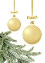 Gold Christmas balls with bow on ribbon and new year green tree