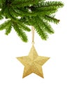 Gold Christmas star on new year tree green branch isolated on white background Royalty Free Stock Photo