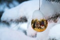 Gold Christmas Tree Ornament Reflects Nativity Sce Royalty Free Stock Photo
