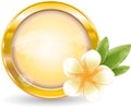 Gold circle frame with white frangipani flower