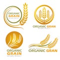 Gold circle paddy rice organic grain products and healthy food banner sign vector set design Royalty Free Stock Photo